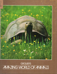 Image of Amazing World of Animals 9 ; Reptiles