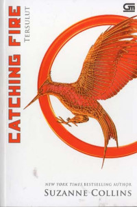 Image of Catching Fire