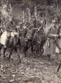 Image of PARTISAN DAN GERILYAWAN