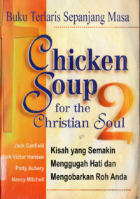 Image of Chicken Soup for the Christian Soul 2